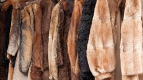 Does Wearing Vintage Fur Instead of New Fur Make You a Better Person?