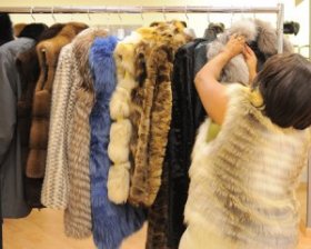 Fur selection for a coat or vest