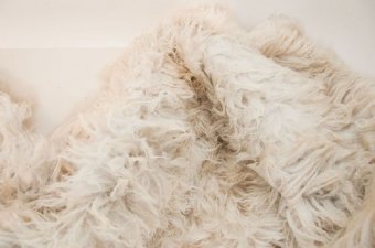 Rinse and drain the sheepskin rug to clean
