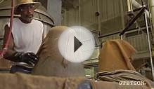 Stetson: The Making of a Legend - Dress Hat