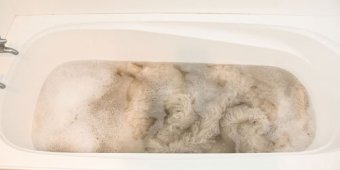 Washing sheepskin in the bath